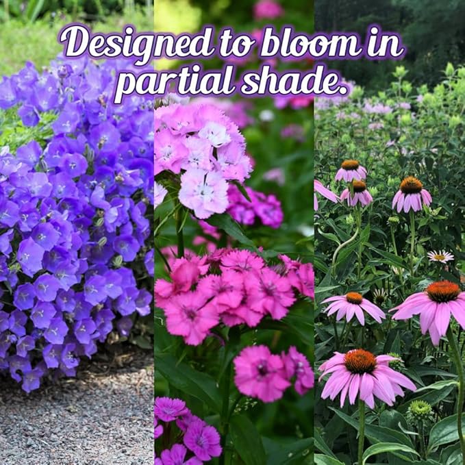 Partial Shade Wildflower Seeds 4oz - Open-Pollinated Flower Seed Mix Packet, No Fillers, Annual, Perennial Wildflower Seeds Year Round Planting