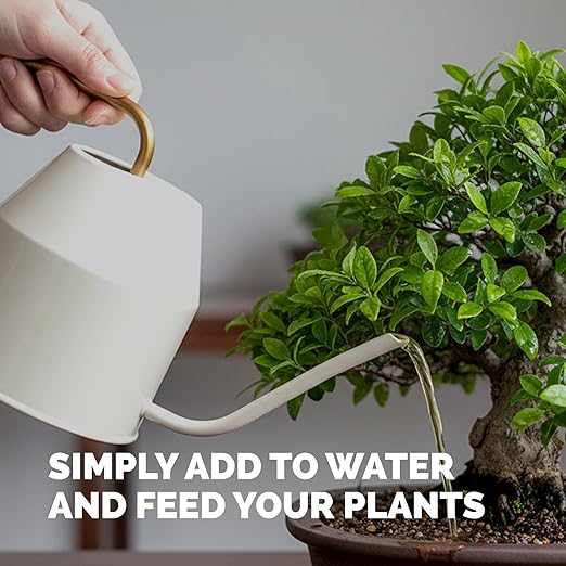 Bonsai Fertilizer – Liquid Plant Food for Healthy Growth, Vibrant Foliage & Stronger Root Development, 1 Gallon