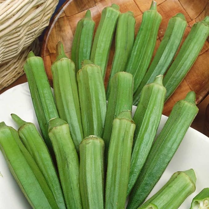 Clemson Spineless Okra Garden Seed - 1 Lb ~6,720 Seeds - Non-GMO, Heirloom Vegetable Gardening Seeds