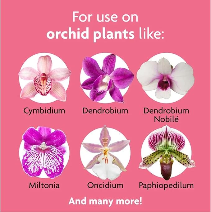 Miracle-Gro Orchid Plant Food Mist 8 oz. (Pack of 6)