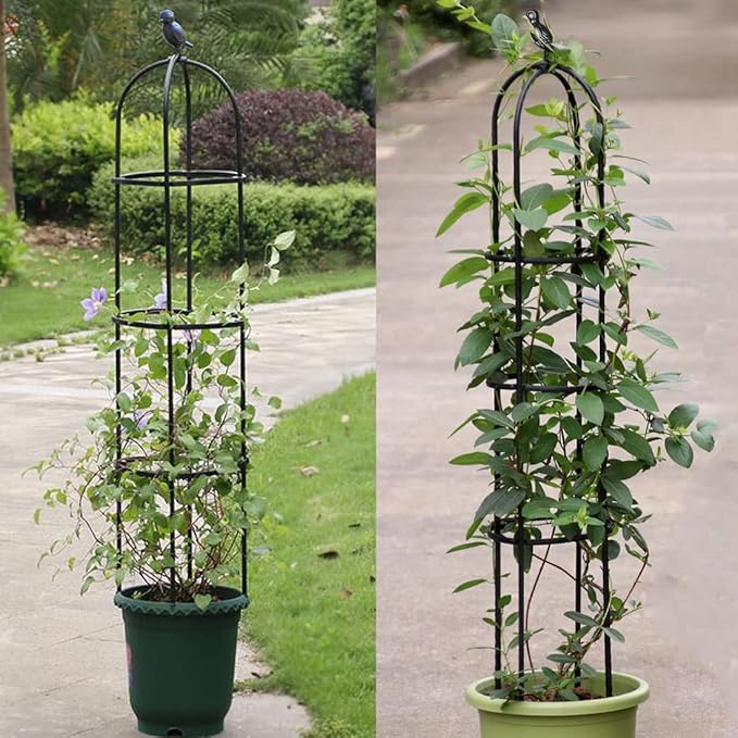 Garden Trellis,Tomato Cage for Climbing Plants Outdoor, Plants Trellis Support for Climbing Vines, Plant Support for Vegetables, Plant Flower Trellises for Clematis Jasmine Outdoor Indoor-1 Pack