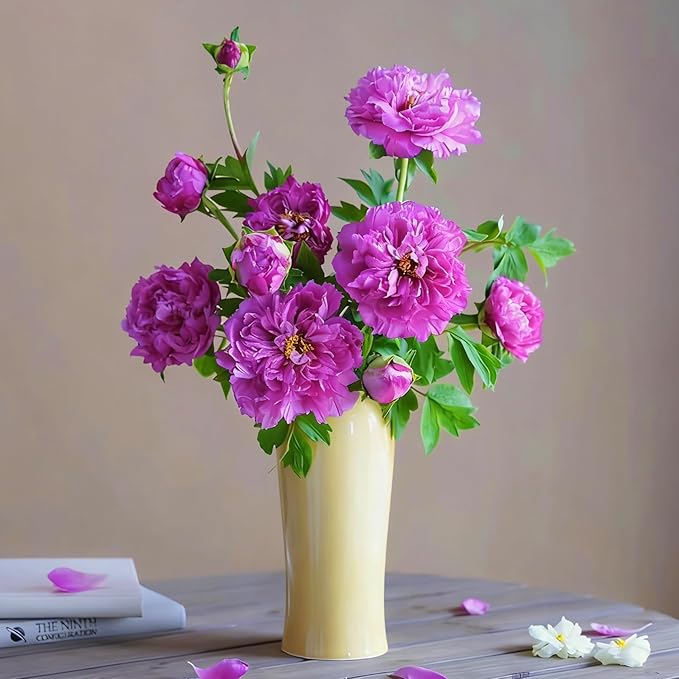 Double Hibiscus grandiflorus Seeds for Planting, 201+pcs Rare Perennial Giant Peony Hibiscus Grandiflorus Flower Seeds, Non-GMO Heirloom Beauty Blooms Flowers Plants for Home Garden Outdoors