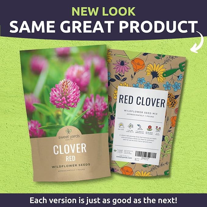 Red Clover - Bulk 1 Pound Pouch - 240,000 Flower Seeds for Planting - Trifolium pratense