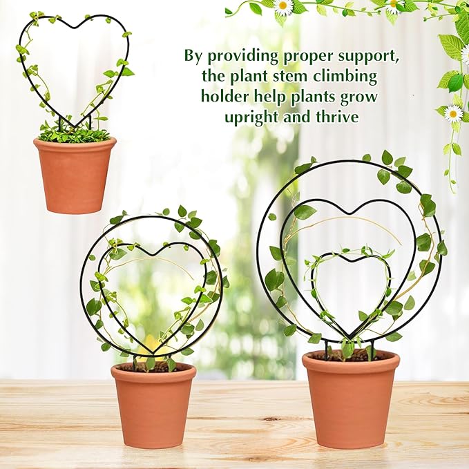 Hoya Trellis 3 Size Indoor Plants Flower Support Stakes Round or Heart Metal Trellis Set Garden Tool Accessories for Small Potted Vine Climbing Houseplants (BlackCH)