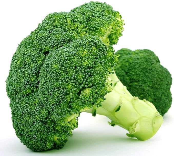 Broccoli Vitamin Seeds for Planting 200 Seeds Non-GMO Pack with Growing Instructions Vegetable Garden