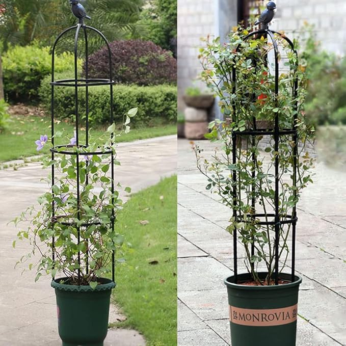 Garden Trellis for Climbing Plants Outdoor, Metal Plant Trellis with PE Coated, Rustproof Plant Support for Flowers Vegetable Vine, Tomato cage for Potted Plants Indoor Outdoor,Lightweight - 1 Pack