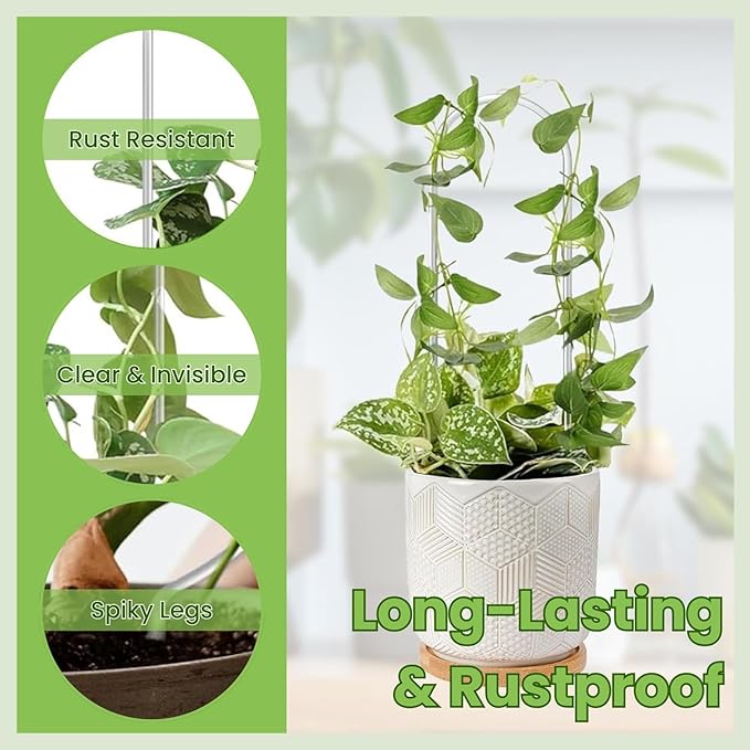 Lancisism 8 Pack Acrylic Plant Trellis for Indoor Climbing Plants, Thickened Clear U-Shaped & Round Small Plant Trellis, Potted Plant Climber Support for Hoya, Pothos, Vine Ivy, Monstera Houseplant