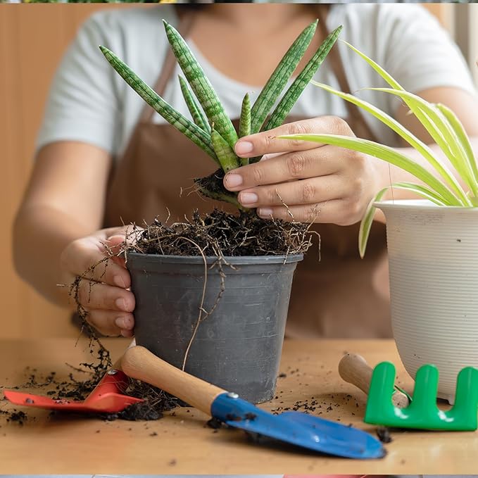Aloe Vera Potting Soil Mix 10qt, Ready to Use for Seedling and Growing of Aloe Vera Plants or Other Houseplants