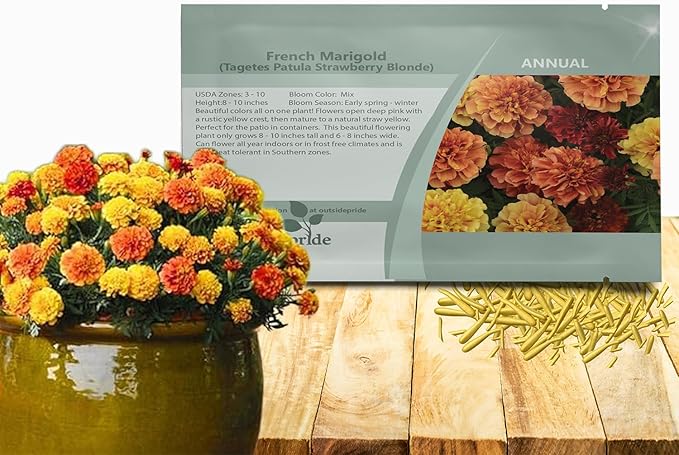 Outsidepride Strawberry Blonde French Marigold Seeds - 100 Pcs Annual, Compact, Heat & Drought Tolerant Flower Seeds for Planting w/Unique Multicolor Blooms, Ideal for Vibrant Pollinator Gardens
