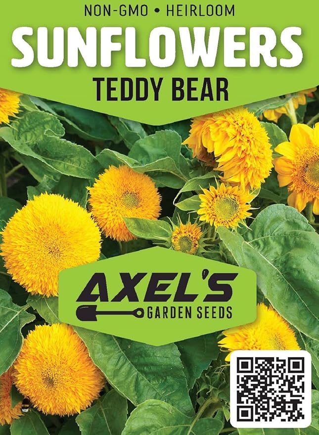 Dwarf Sunflower Seeds for Planting - Grow Teddy Bear Sun Flowers in Your Garden - 25 Non GMO Heirloom Seeds - Full Planting Instructions for Easy Grow - Great Gardening Gifts (3 Packets)