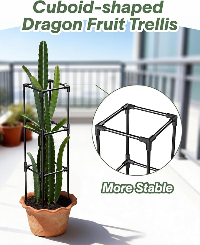 Dragon Fruit Trellis for Climbing Plants Indoor Outdoor, Heavy Duty Metal Adjustable Vertical Garden Support for Indoor Outdoor Potted Plants, Tomato, Cactus, Roses,Vines(10 * 10 * 47inch,1PC)