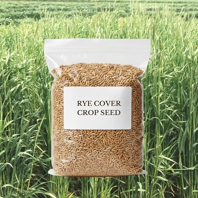 5 Pound Rye Cover Crop Seeds, Fast-Growing Rye Grass Seed for Lawn, Outdoor Planting