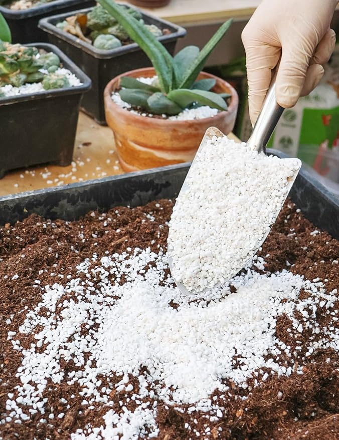 TOYPOPOR Perlite for Plants, (10qt) 3-6mm Organic Perlite for Gardening, Perlite for Plants Indoor, Soil Additive Conditioner Mix Improve Drainage and Ventilation Promote Root Growth and Soil Health