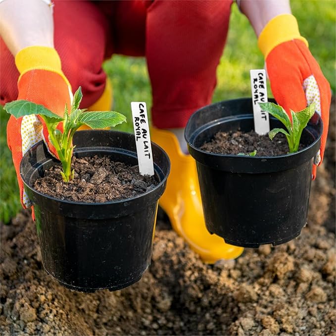 Dalzom® 300Pcs 4" Plant Labels with Marker Pen, Waterproof Plastic Plant Tags for Outdoor Seedlings Vegetable Garden Signs Markers Label Stakes (Multicolor)