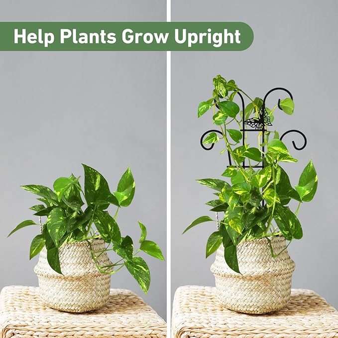 14.17in Indoor Plant Trellis for Potted Plants with Butterfly, Small Metal Indoor Trellis for Climbing Plants Indoor for Houseplant, Pothos Plant Climber Support for Hoya Vine, 2p
