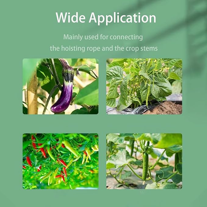 Plant Support Clips for Climbing Plants, Garden, Tomato Vines, Grape and Vine Vegetables, Plastic Plant Fixing Clips (100)