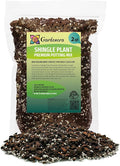 GARDENERA Shingle Plant Soil Mix - Specially Formulated for Strong Root Development - 2 Quart