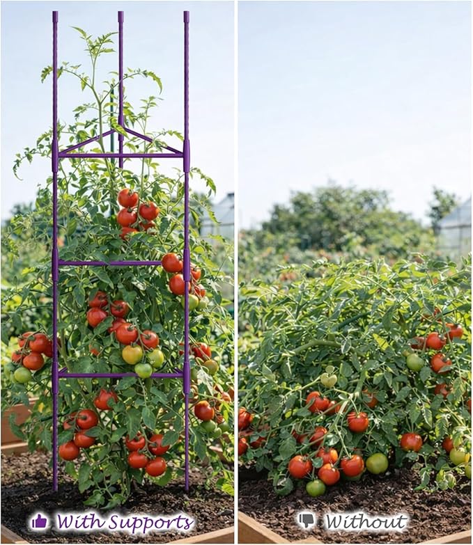 Growsun 51 inch Tomato Cage Heavy-Duty Plant Support Cucumber & Vine Vegetables – Adjustable Green Metal Garden Trellis for Climbing Plants, Indoor & Outdoor Use, 6 Pack