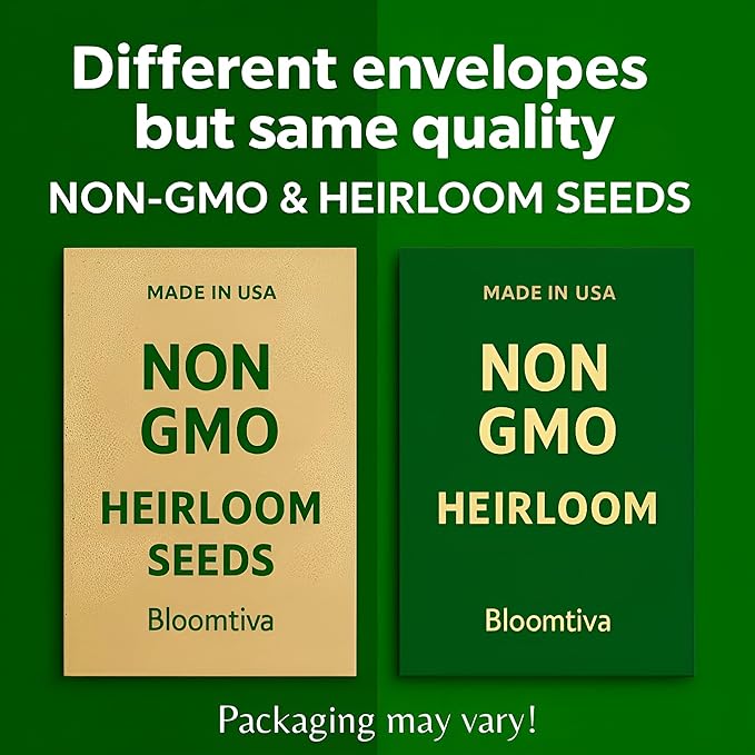2200 Baby Mustard Greens Seeds for Planting - CAI Xanh an Non - Super Fast Harvest - Heirloom 𝗡𝗢𝗡-𝗚𝗠𝗢 Mustard Seed - High Germination Rate – Grown in USA (Brassica juncea)