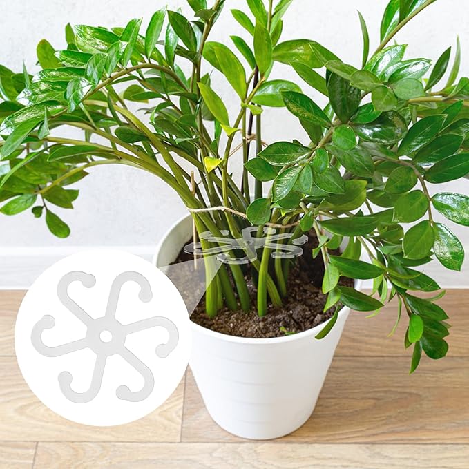 BOXOB 6pcs Climbing Plant Stem Supports, 2 Sizes Acrylic Houseplant Stem Holder with Holes Reusable Plant Stand Stakes Trellis Stem Hook Growth Accessories for Plants (Transparent)