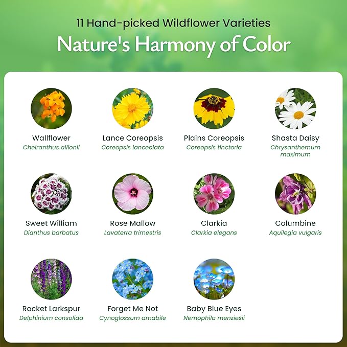 Created By Nature Partial Shade Wildflower Seed Mix, 11 Flower Varieties, 37,000 Seeds