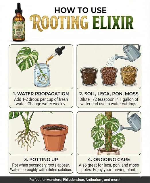 Houseplant Prop Drops – Rooting Elixir – Liquid Rooting Hormone for Cuttings & Propagation – Extra-Strength IBA Hormone – Supports Strong Root Growth – Monstera, Philodendron, Anthurium, Fiddle Leaf