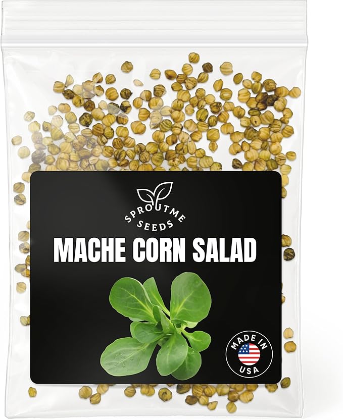 Fall & Winter Mache Corn Salad Seeds for Indoor & Outdoor Planting – 500+ Non-GMO Heirloom Tender Greens, High Germination (Valerianella Locusta)
