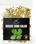 Fall & Winter Mache Corn Salad Seeds for Indoor & Outdoor Planting – 500+ Non-GMO Heirloom Tender Greens, High Germination (Valerianella Locusta)