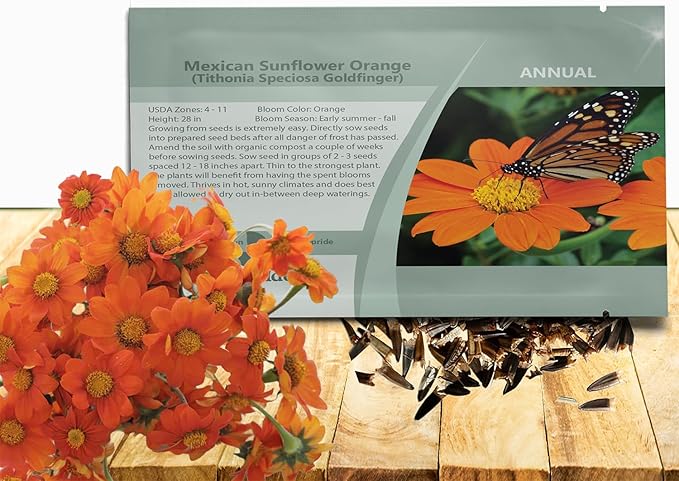 Outsidepride Goldfinger Mexican Sunflower Seeds - 500 Pcs Annual, Easy-to-Grow, Orange Tithonia Speciosa Flower Seeds w/Drought-Tolerant Blooms for Pollinator Gardens & Vibrant Summer Landscaping