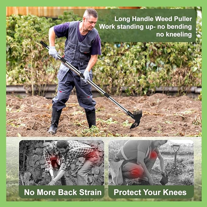 Weed Puller Tool with Long Handle, 60'' Manual Weed Puller Tool, Stainless Steel 2 in 1 Hand Weed Rake,Heavy Duty Garden Hoe for Gardening,Uprooting (Chrome(Stainless Steel), 60" Long Handle)