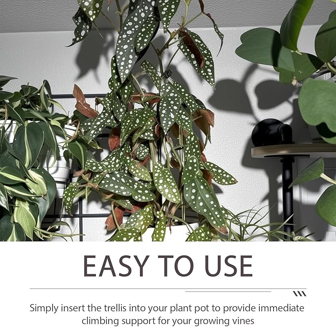 2 Pack Thickened U-Shaped Clear Acrylic Plants Trellis for Indoor/Outdoor Small Plant Support Perfect for Climbing Plants Vine Ivy Hoya and Potted Plants