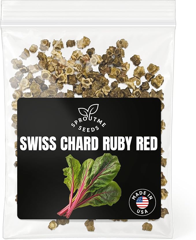 Fall & Winter Swiss Chard Seeds for Indoor & Outdoor Planting – 300+ Non-GMO Heirloom Colorful Greens, High Germination (Beta vulgaris subsp. cicla)