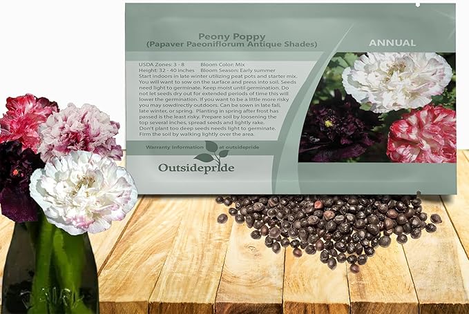 Outsidepride Peony Antique Poppy Seeds for Planting - 10,000 Pcs Annual, Drought-Tolerant & Easy to Grow Wildflower Seeds with Vibrant Mix Blooms for Landscaping, & Pollinator Garden