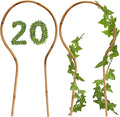 WUWEOT 20 Pack Min Bamboo Trellis, 16 in Loop-Shaped Plant Support Hoop Stake for Potted Plants Climbing, Hoya Plants Ivy Plants Monstera Cucumber and Fruits