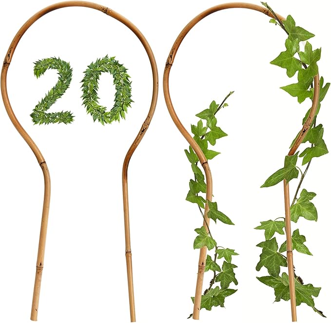 WUWEOT 20 Pack Min Bamboo Trellis, 16 in Loop-Shaped Plant Support Hoop Stake for Potted Plants Climbing, Hoya Plants Ivy Plants Monstera Cucumber and Fruits
