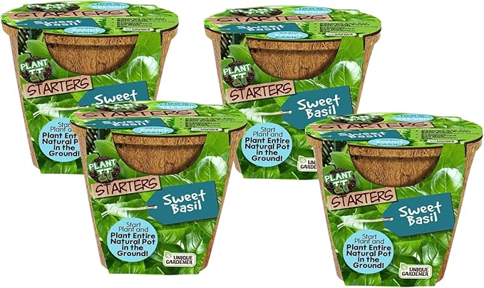 Plant-It Starters Plant Seeds 4-Pack, DIY Indoor Succulents and Live Plants for Home or Garden Planting, Sweet Basil