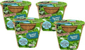 Plant-It Starters Plant Seeds 4-Pack, DIY Indoor Succulents and Live Plants for Home or Garden Planting, Sweet Basil