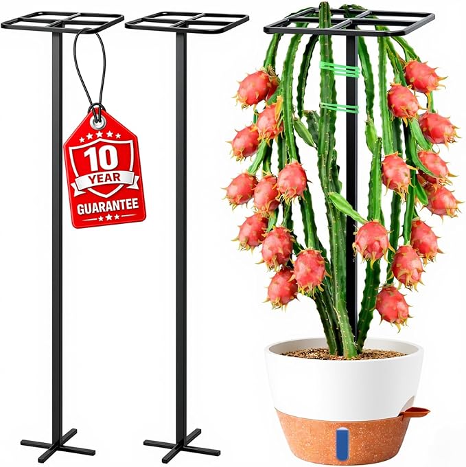 2-Pack Metal Dragon Fruit Trellis Support Set, 12" x 48" Outdoor Garden Plant Cage for Climbing Vines, Includes Stretch Plant Ties, Heavy-Duty Weather-Resistant Trellis for Tomatoes, Roses, Jasmine