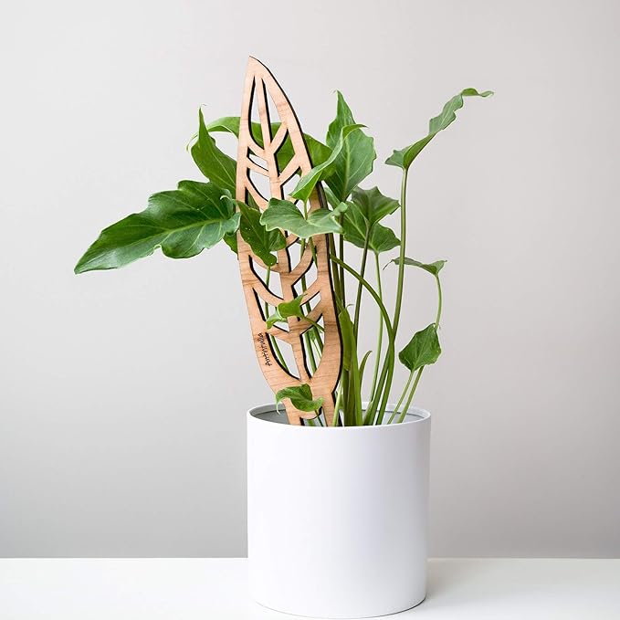 Treleaf Bare™ Anthrulla™ – Customizable Wooden Queen Anthurium Leaf Plant Trellis – Regular Size 12” Indoor Plant Support and Decorative Houseplant Stake for Potted Vines and Climbing Plants
