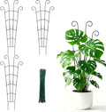30 Inch Trellis for Climbing Plants Indoor 3 Pack Indoor Plant Trellis for Potted Plants Metal Garden Trellis for pots Indoor Outdoor for Monstera Pothos Vine Ivy Hoya(30inch Black)