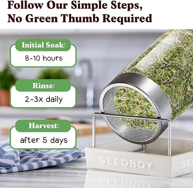 Seedboy Organic Non-GMO Sprouting Seeds, Immune System Booster - USA Grown Microgreens Mix with Broccoli, Purple Radish, Alfalfa - 8 oz Bag Makes 8 Quarts / 24 Servings (Immune System Booster Blend)