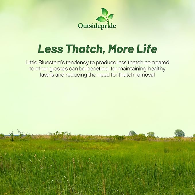 Outsidepride Perennial Little Bluestem Grass Seed - 5 lbs. Warm Season, Drought Resistant, Long-Lived Native Prairie Grass Seed, Ideal for Erosion Control, Ornamental Landscaping & Wildlife Gardens