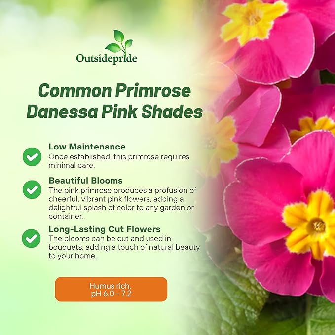 Outsidepride Danessa Pink Shades Common Primrose Seeds - 25 Pcs Annual, Hardy, Easy to Grow & Low Maintenance Flower Seeds for Planting Vibrant Blooms, for Containers, Borders & Erosion Control
