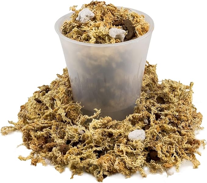 Gardenera Premium PHALAENOPSIS Imperial Orchid Potting Mix - Hand Mixed in Small Batches | Great for Phalaenopsis of All Kinds - 4 Quart Bag