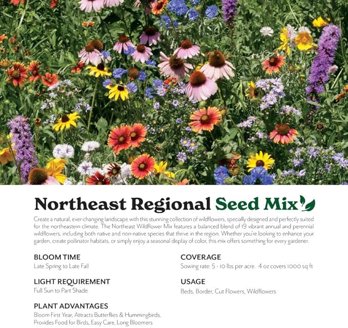 Grow Your Own Vibrant Annual and Perennial Wildflower Garden Seeds Mixture, Varieties for Pollinators and Spring Gardens - Northeast Regional Mix, 50 lbs