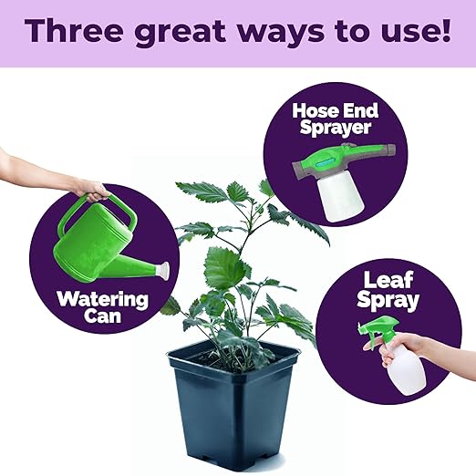 BlackBerry Fertilizer – Liquid Plant Food for Bigger Berries, Better Flowering & Stronger Cane Growth, 32 oz