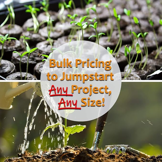 California Wonder 300 TMR Sweet Pepper Garden Seeds - 1 Lb Bulk - Non-GMO, Heirloom Vegetable Gardening Seed