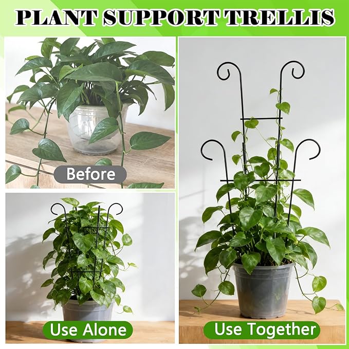 23.6 inch Large Trellis for Potted Plants, 4 Pack Rustproof Metal Plant Trellis for Climbing Plants Indoor, Sturdy Expandable Houseplant Support for Monstera, Pothos, Hoya, Vine (4 Pack)