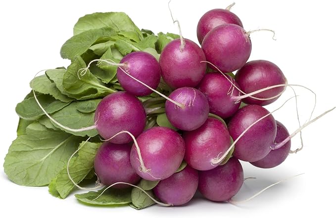 Purple Plum Radish Seeds - 4 Oz - Heirloom Garden Seeds, Non-GMO - Vegetable Gardening and Microgreens