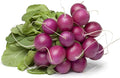 Purple Plum Radish Seeds - 4 Oz - Heirloom Garden Seeds, Non-GMO - Vegetable Gardening and Microgreens